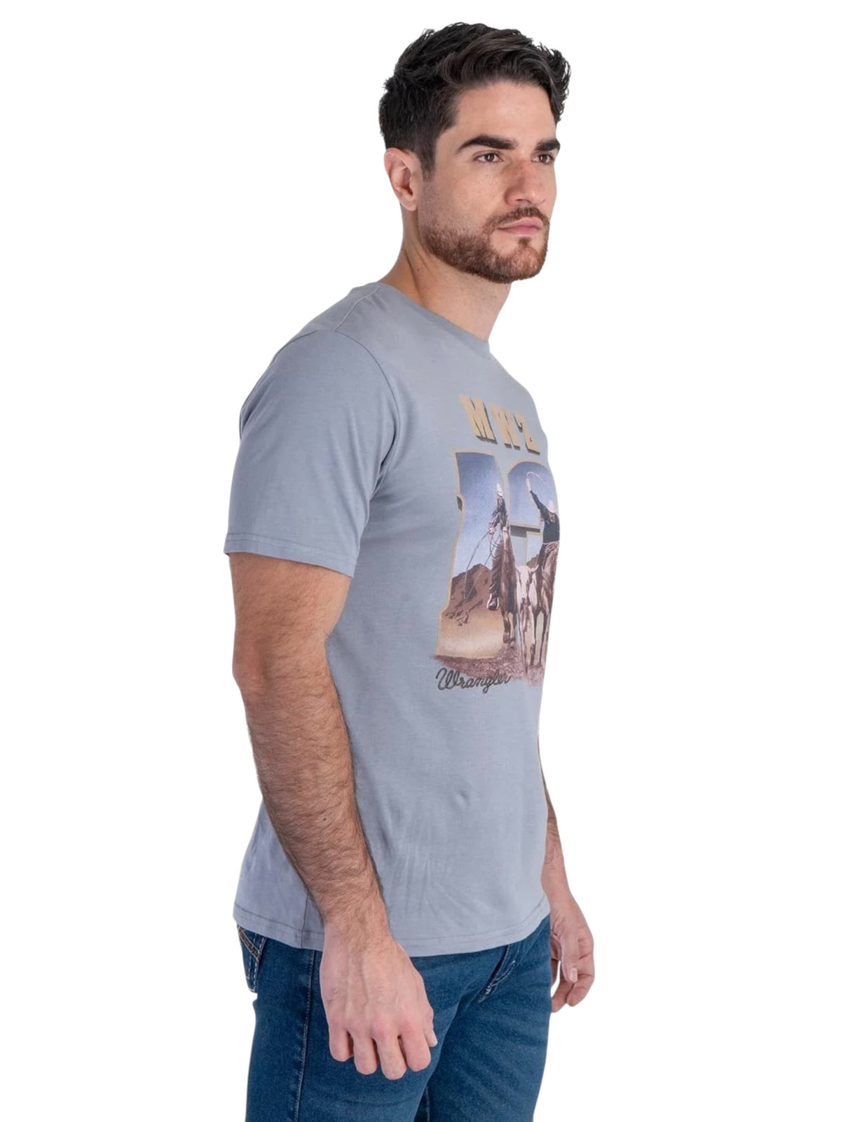 112381785|PLAYERA CABALLERO