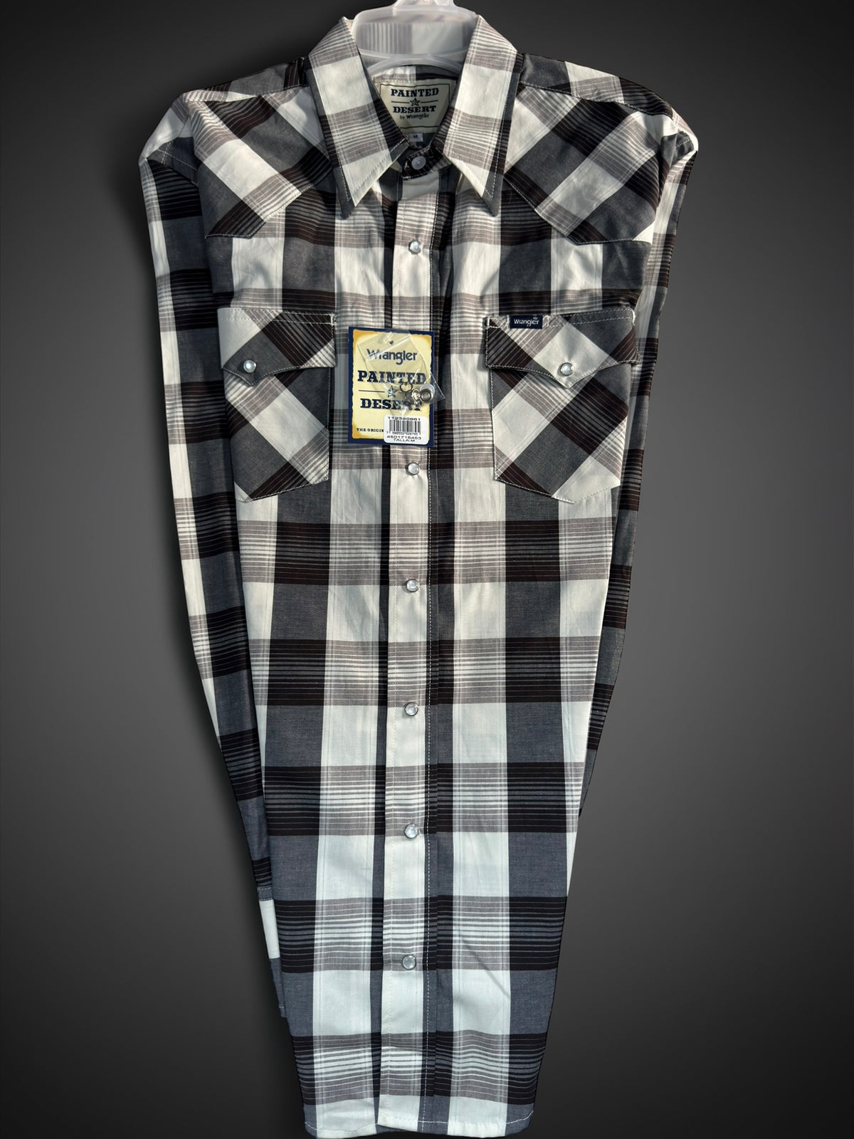 112380961|CAMISA PAINTED DESERT