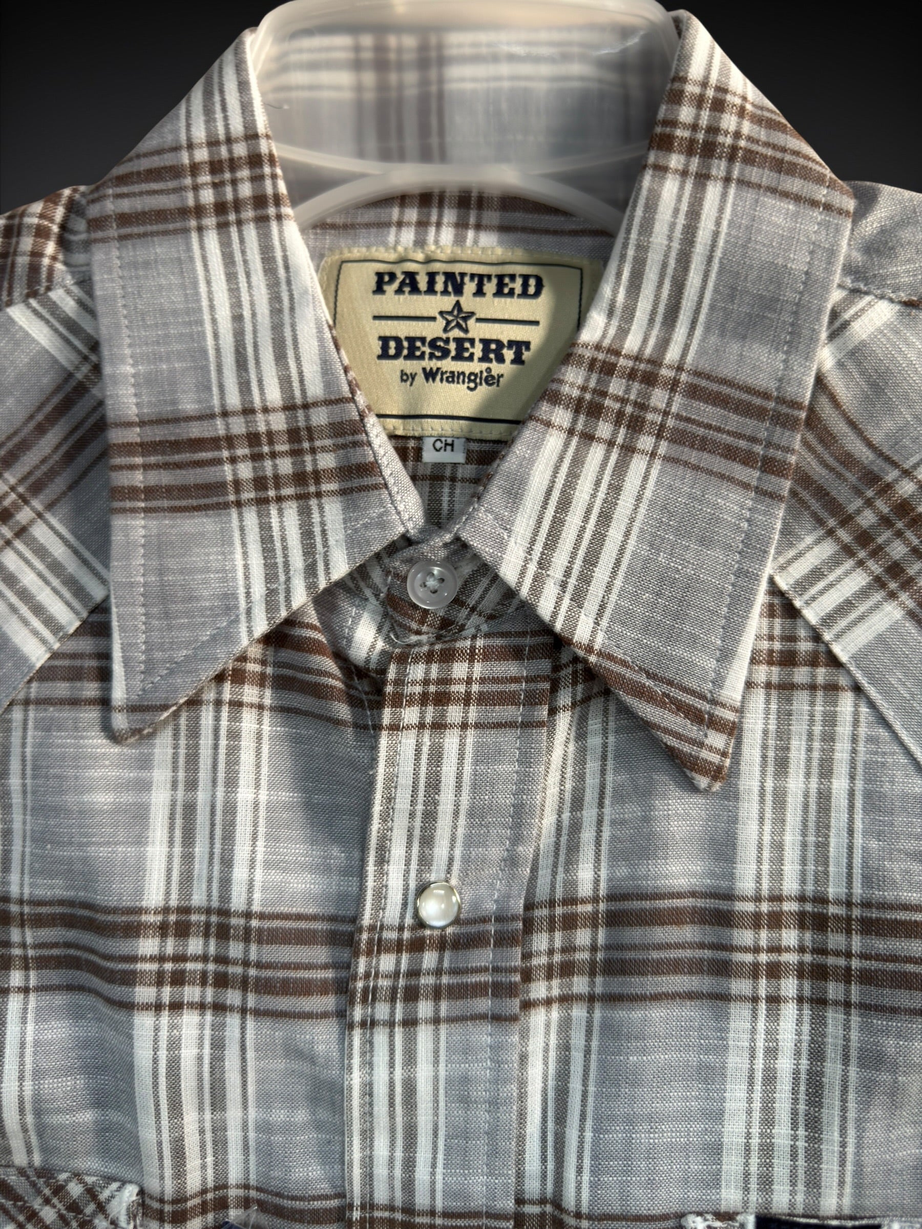 112381248|CAMISA PAINTED DESERT