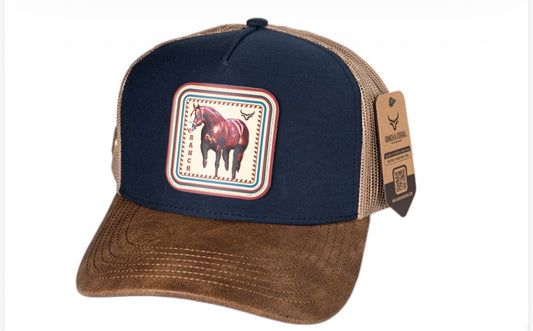 PREVENTA| RANCH CORRAL E66