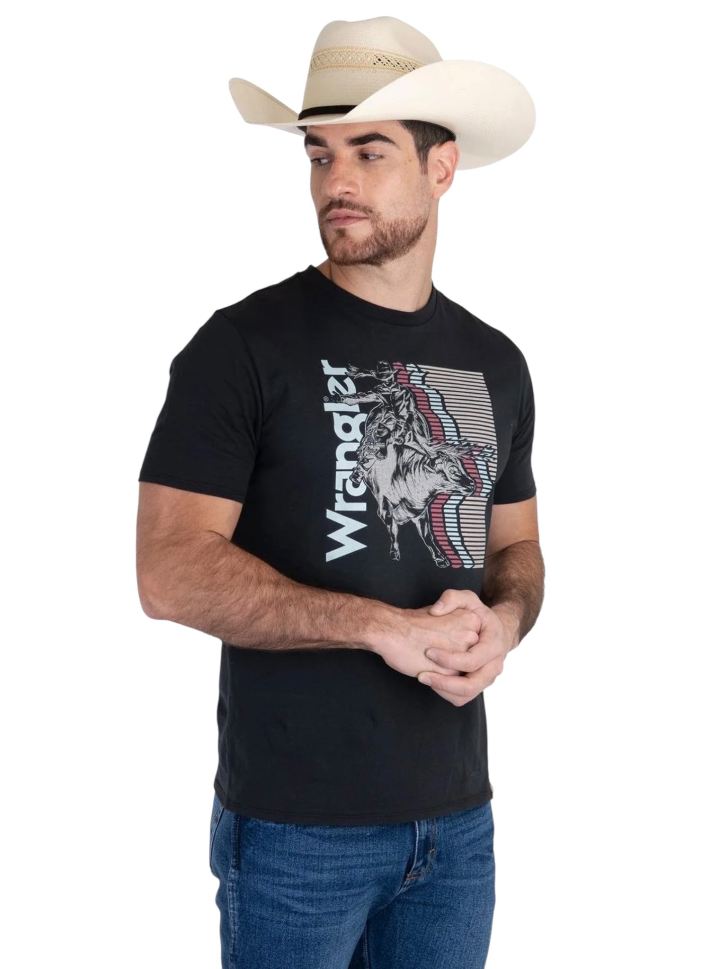 112381775|PLAYERA CABALLERO