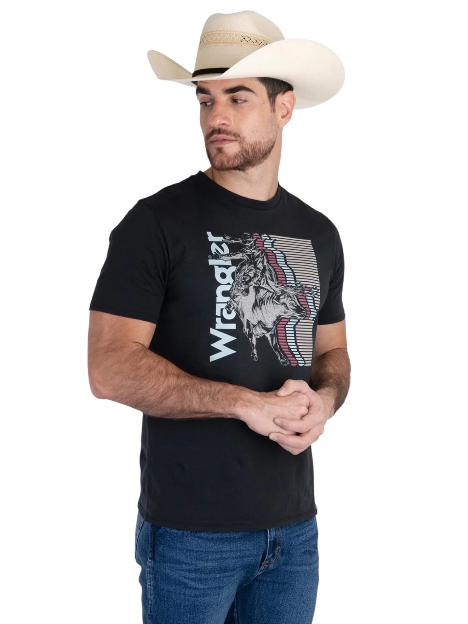 112381775|PLAYERA CABALLERO