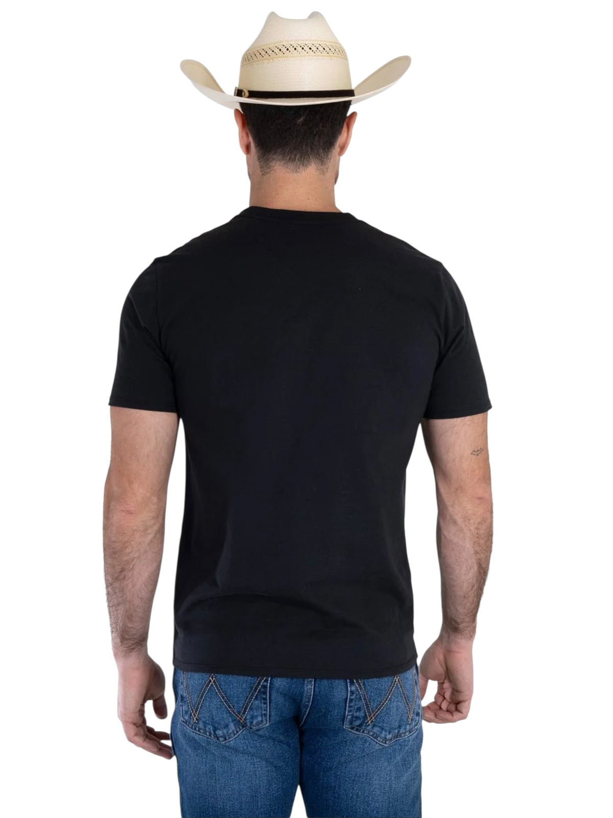 112381775|PLAYERA CABALLERO