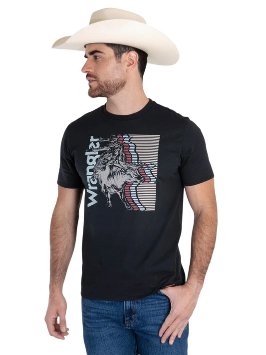 112381775|PLAYERA CABALLERO