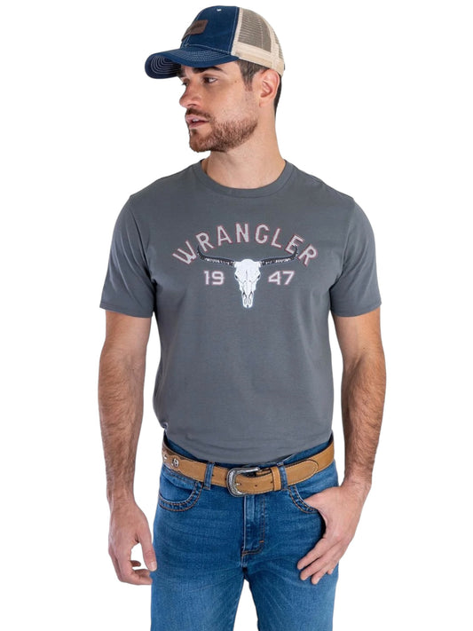 112381774|PLAYERA CABALLERO