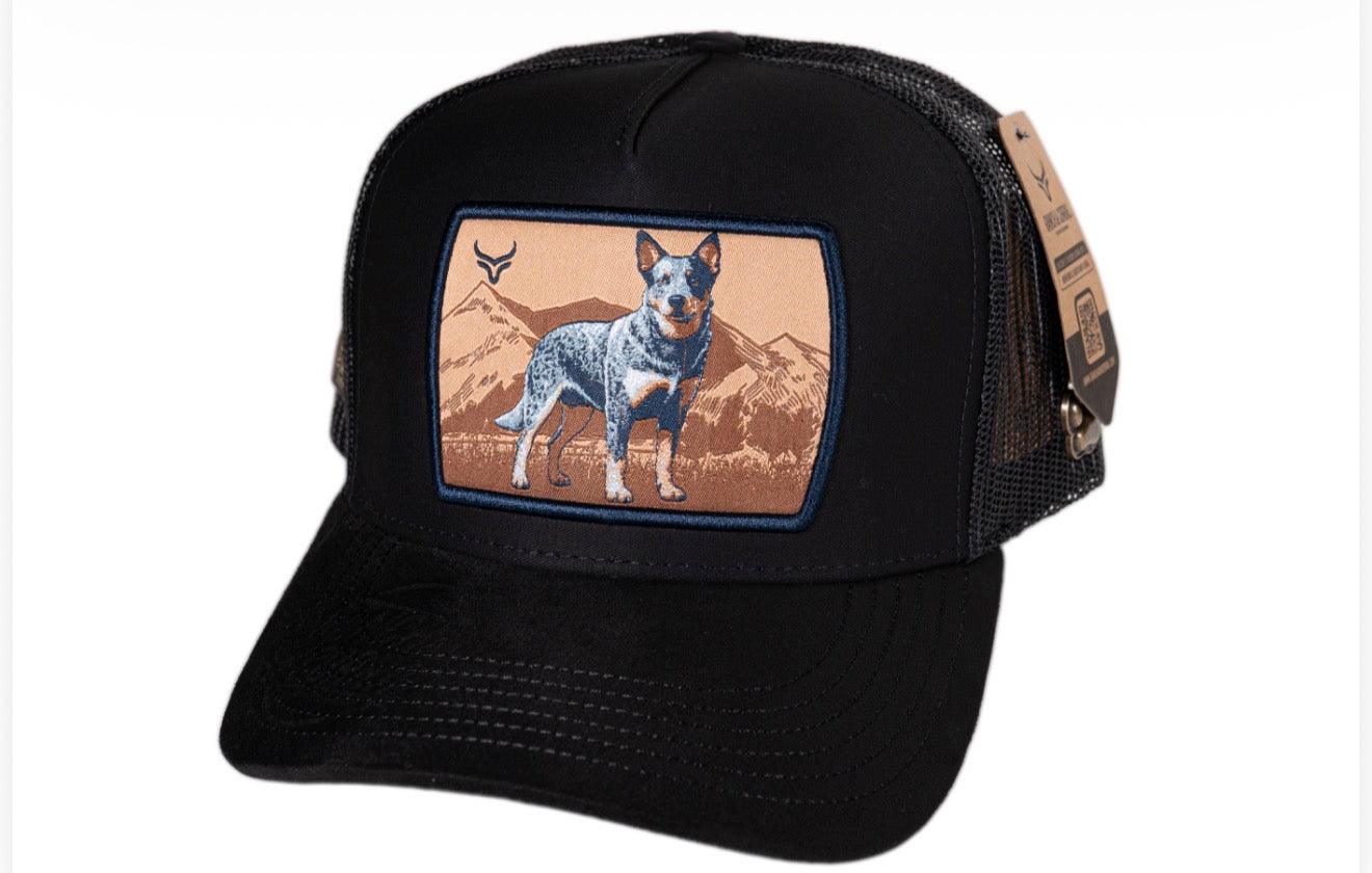 PREVENTA| RANCH CORRAL DB 27