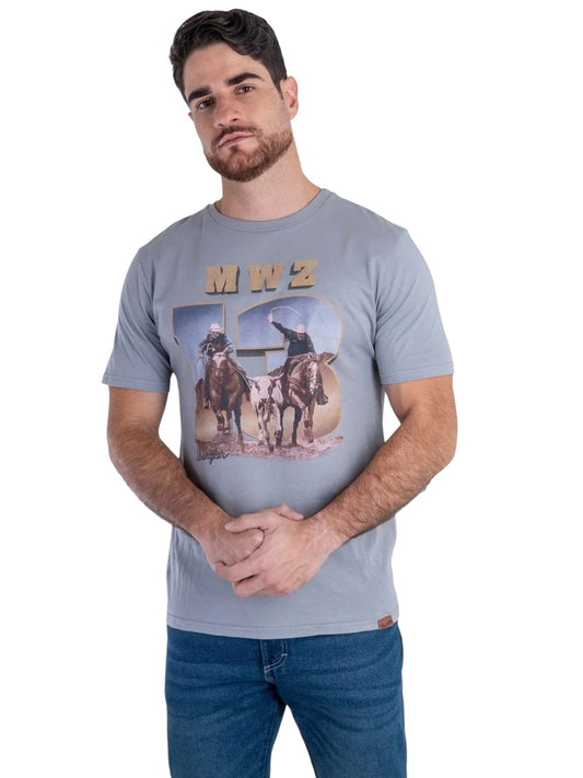 112381785|PLAYERA CABALLERO