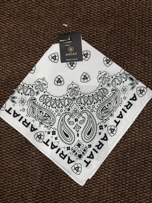A1109005| PAÑUELOS