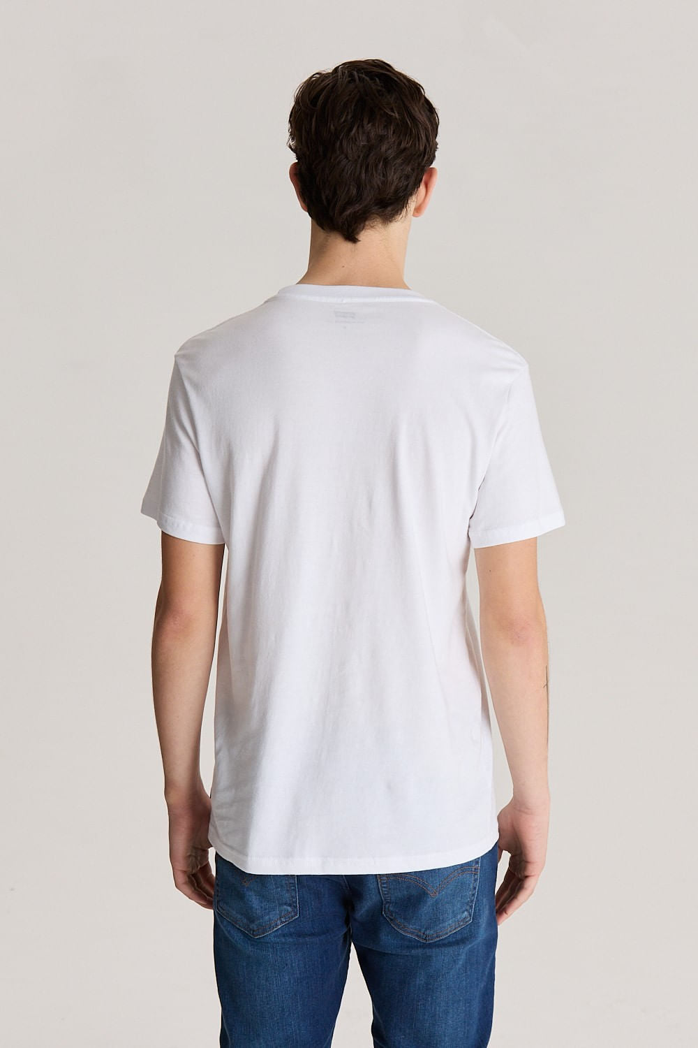 0140| T-SHIRT GRPH SET-IN NECK LEVIS