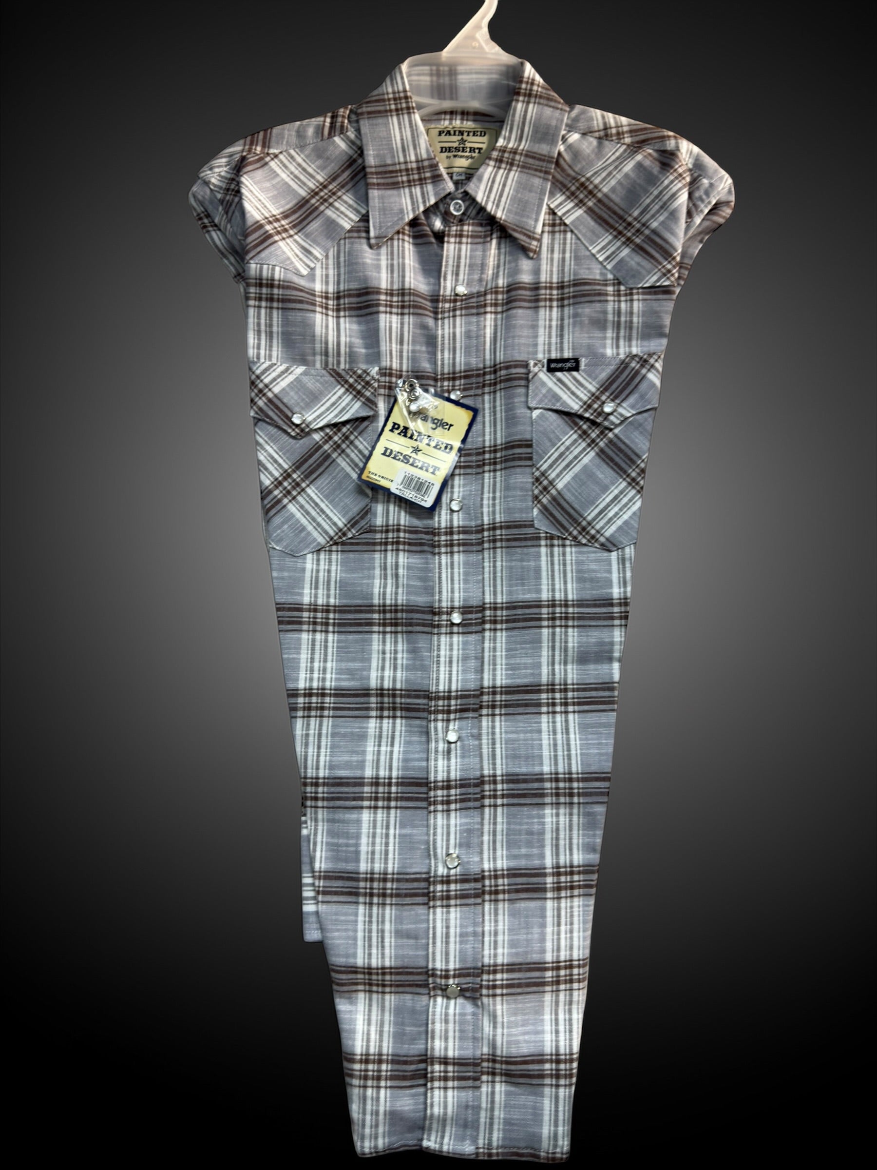 112381248|CAMISA PAINTED DESERT