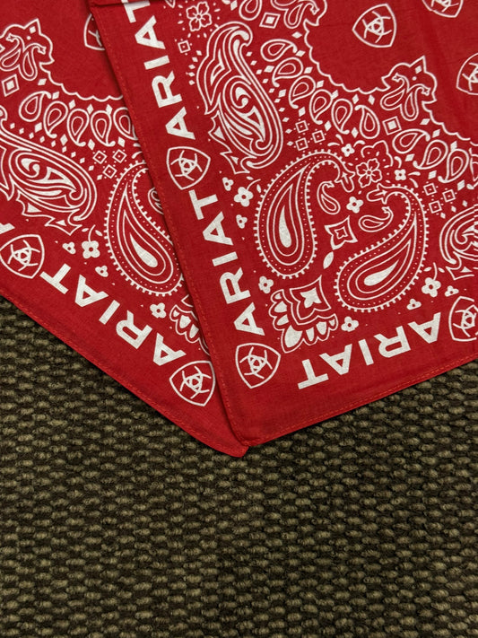 A1109004| PAÑUELOS