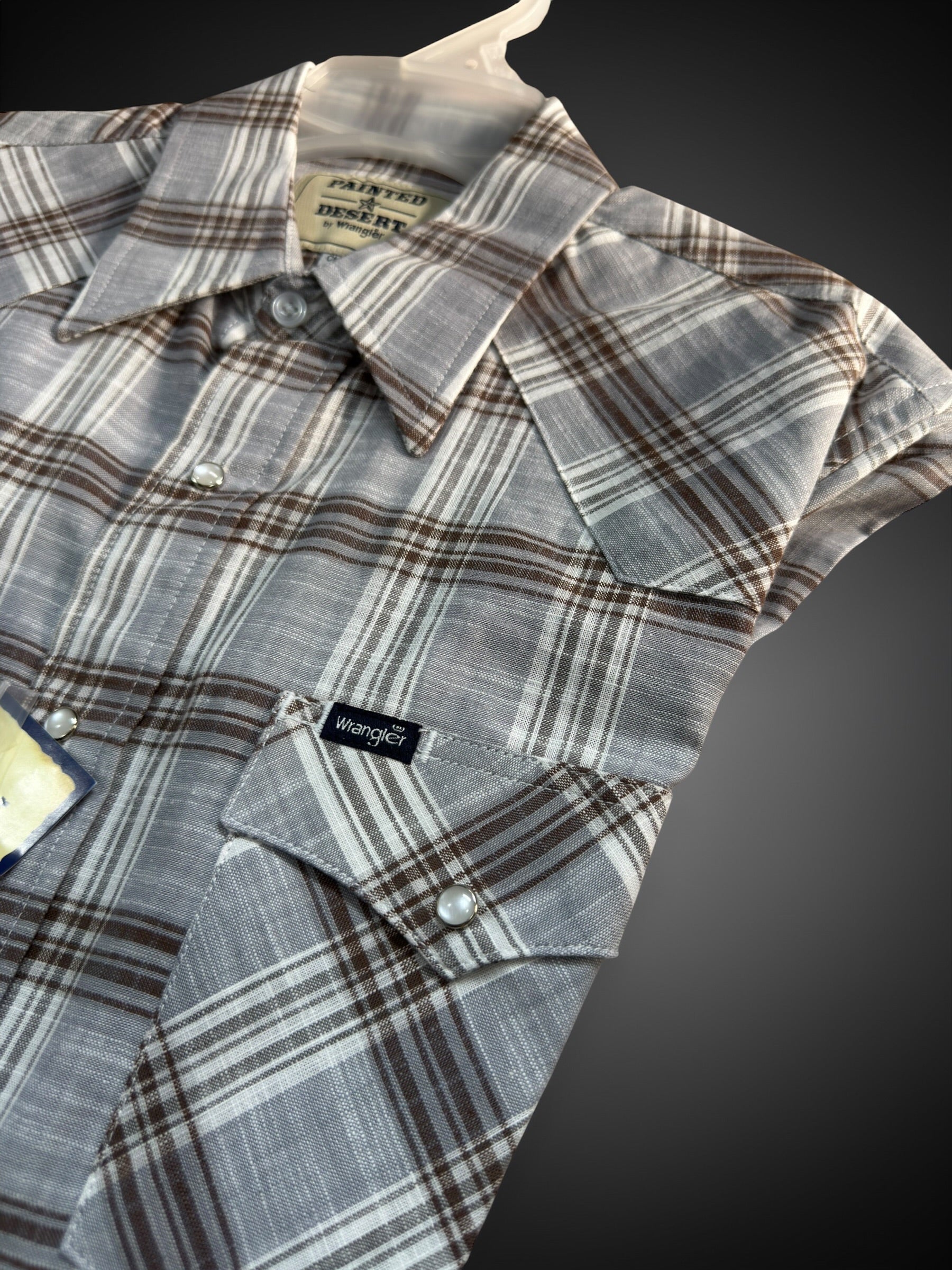 112381248|CAMISA PAINTED DESERT