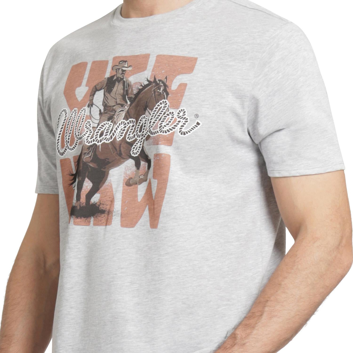 112373625|PLAYERA CABALLERO