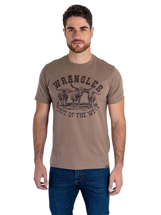112381772|PLAYERA CABALLERO