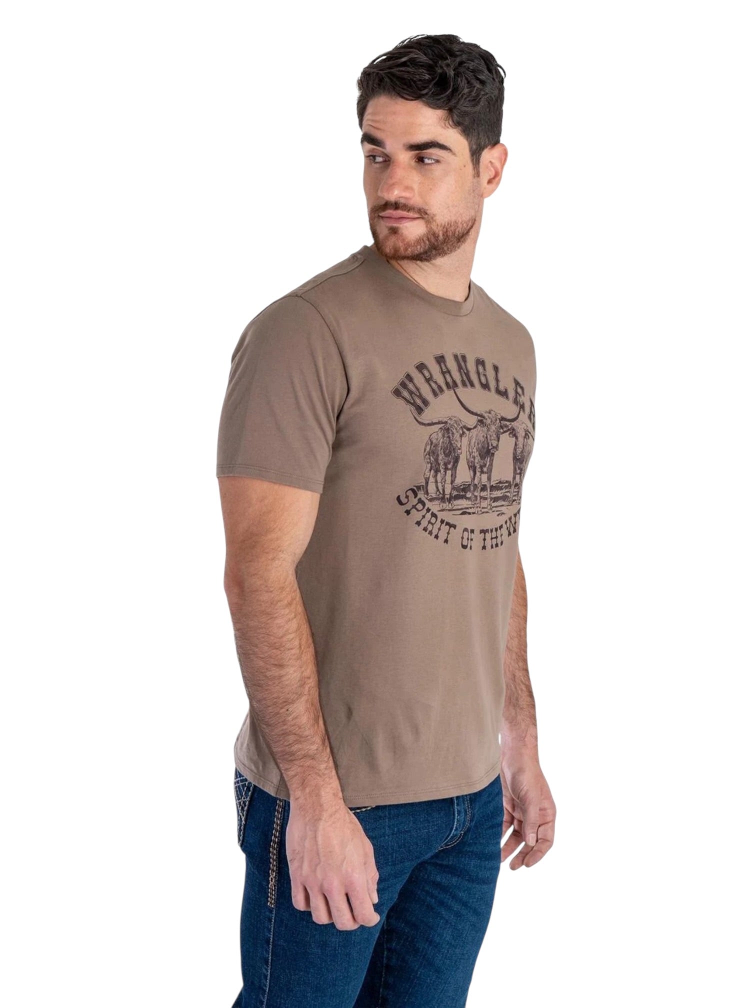 112381772|PLAYERA CABALLERO