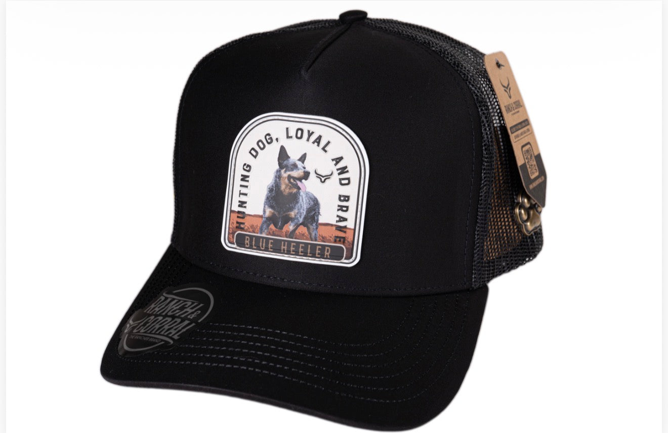 PREVENTA| RANCH CORRAL DB31
