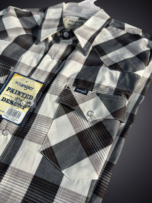 112380961|CAMISA PAINTED DESERT