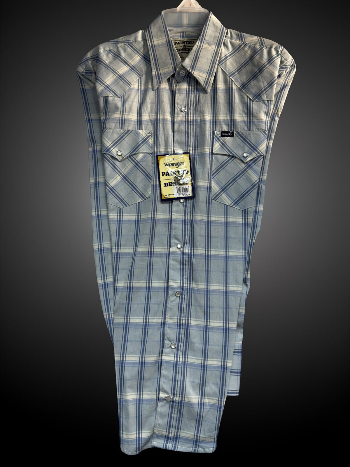 112380944|CAMISA PAINTED DESERT