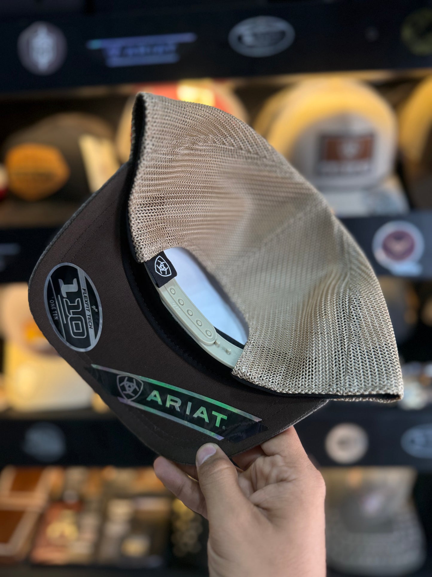 ARIAT ELITE PLUS