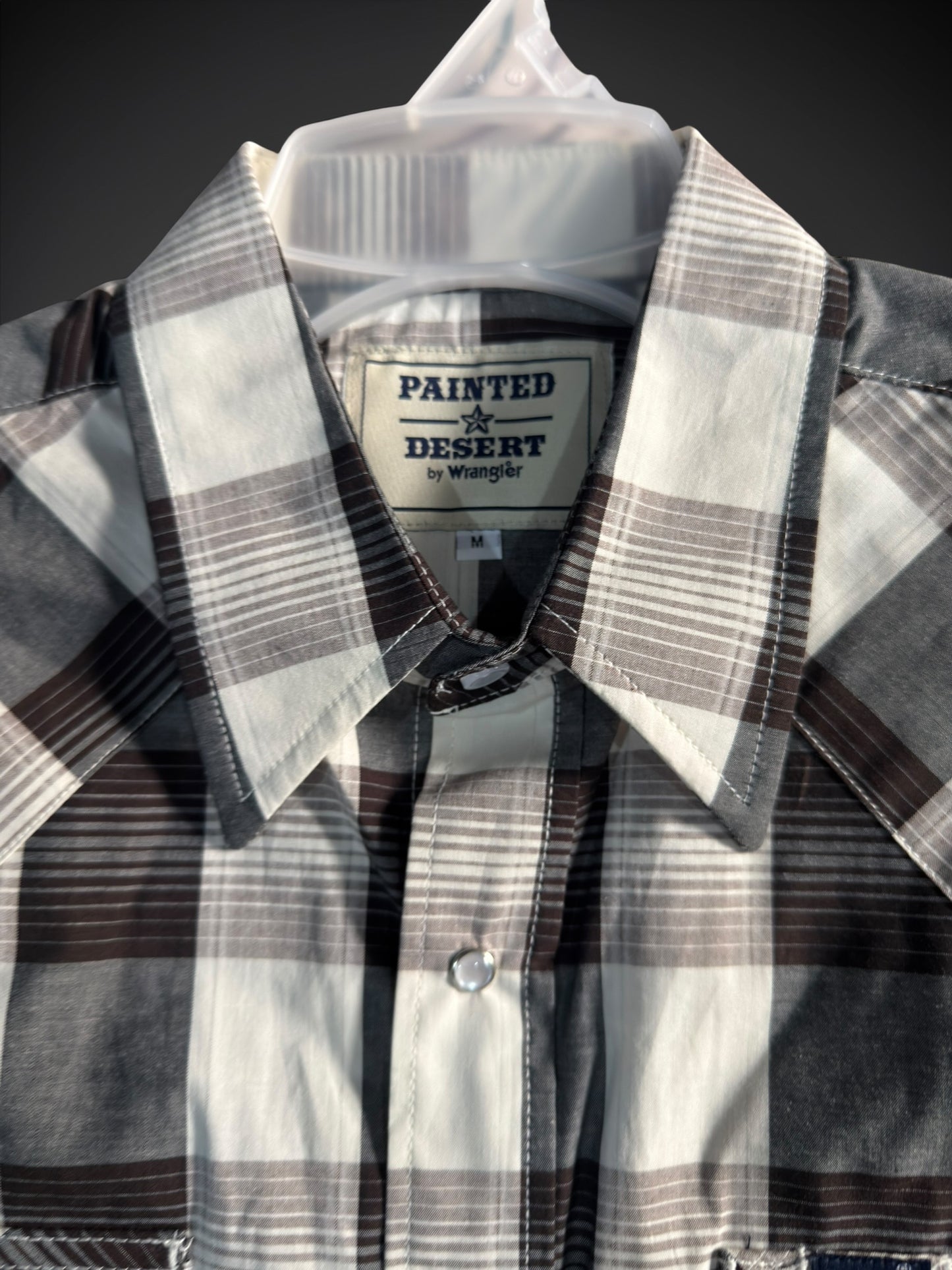 112380961|CAMISA PAINTED DESERT