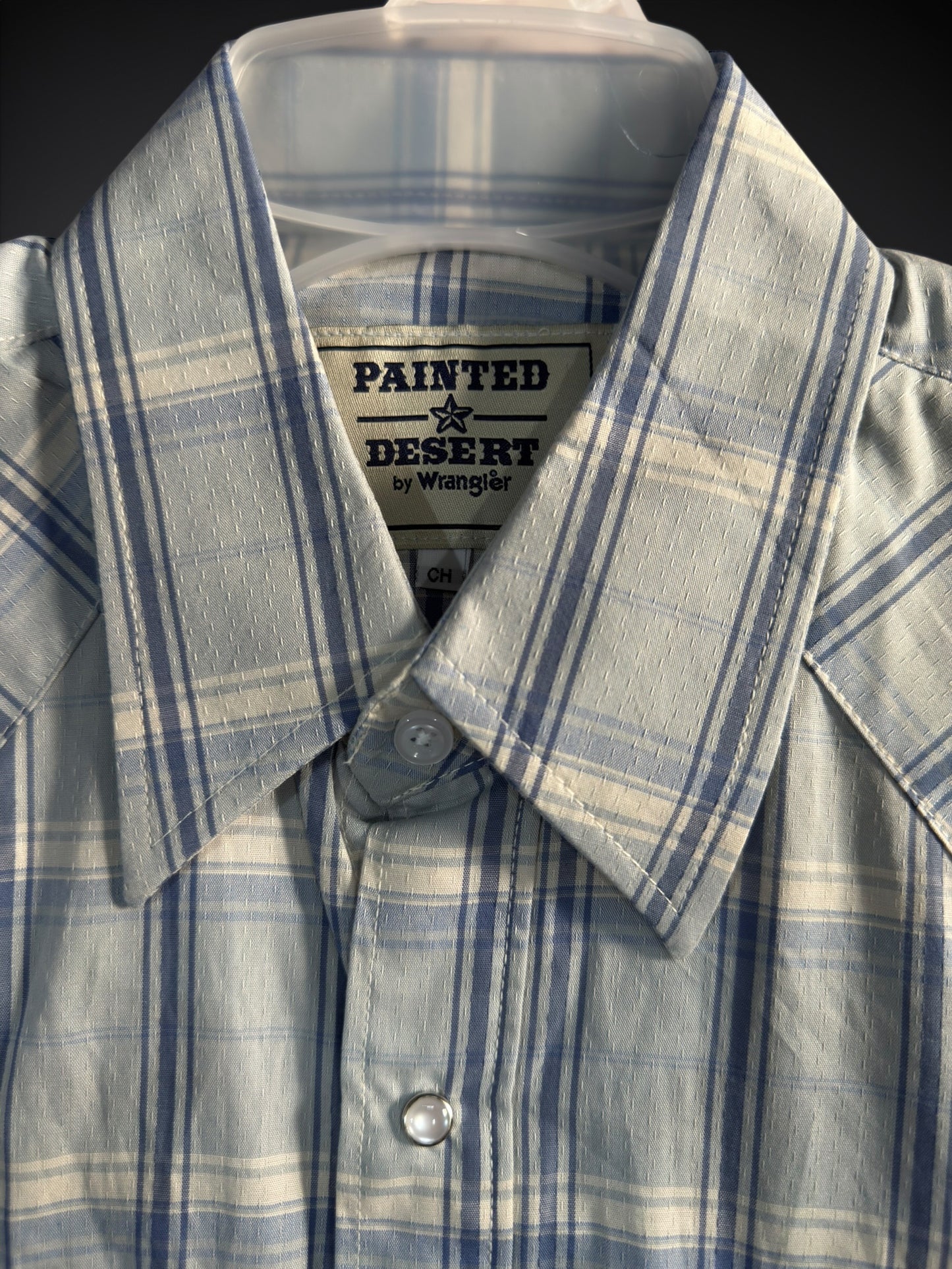 112380944|CAMISA PAINTED DESERT