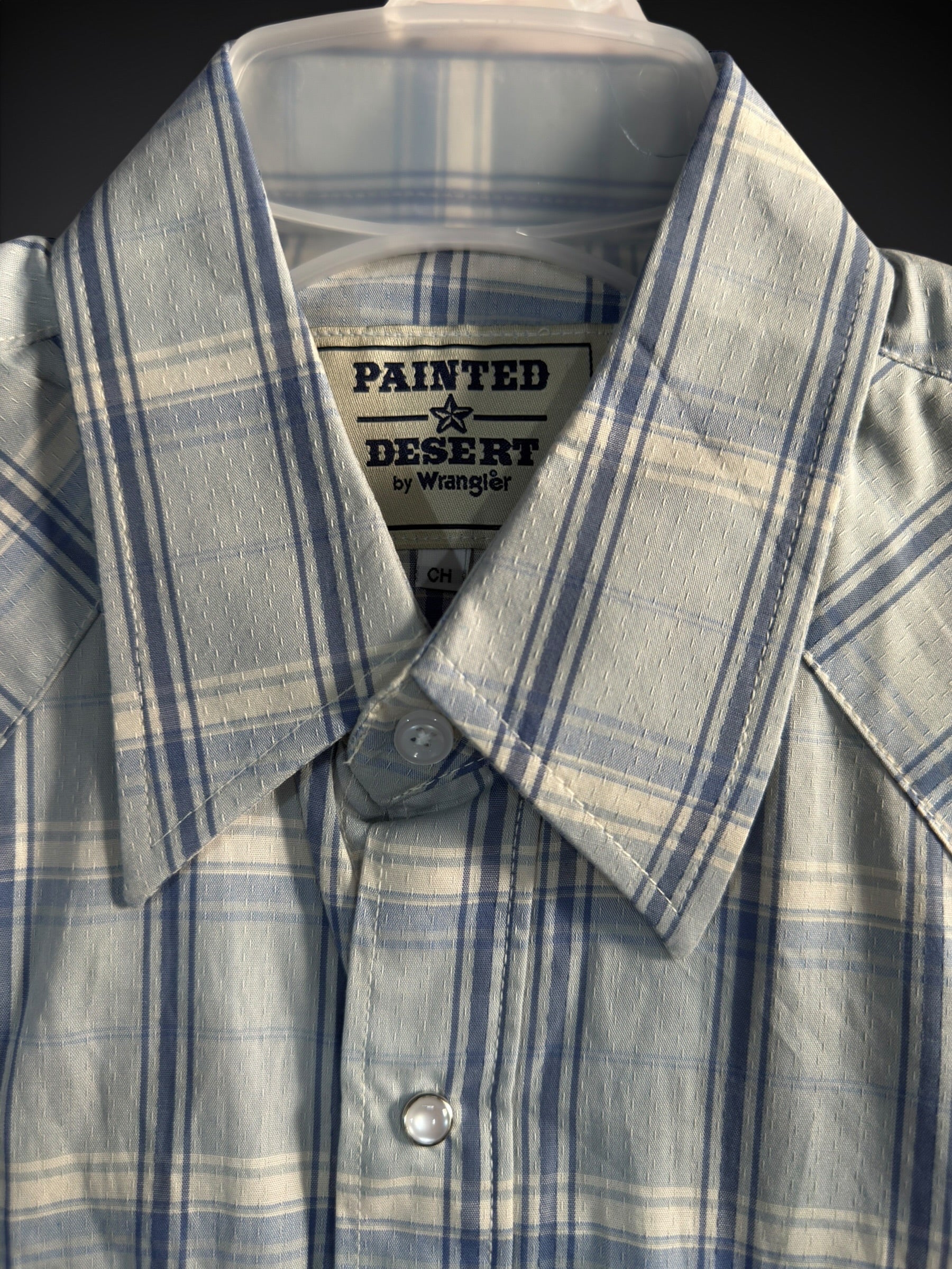 112380944|CAMISA PAINTED DESERT