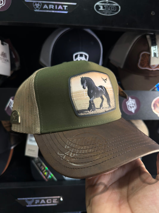 Ranch & Corral Clasica