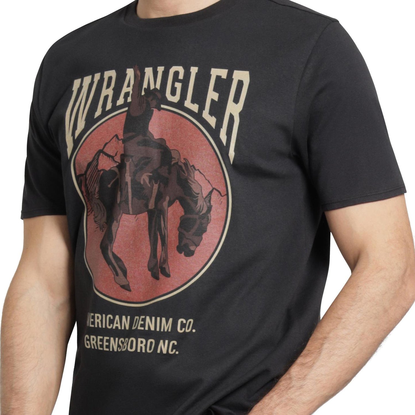 112379475|PLAYERA CABALLERO
