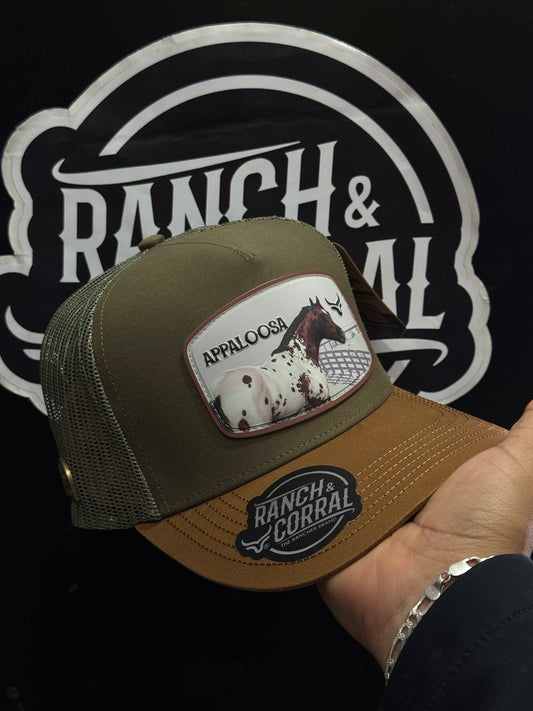 Ranch & Corral Clasica