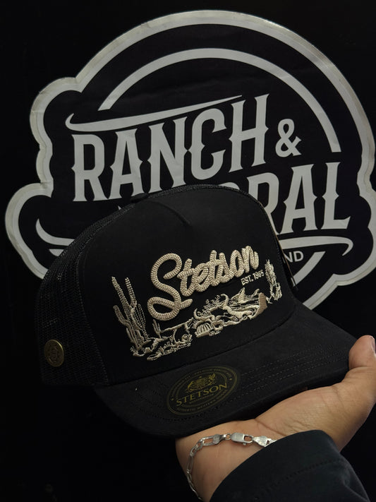 STETSON