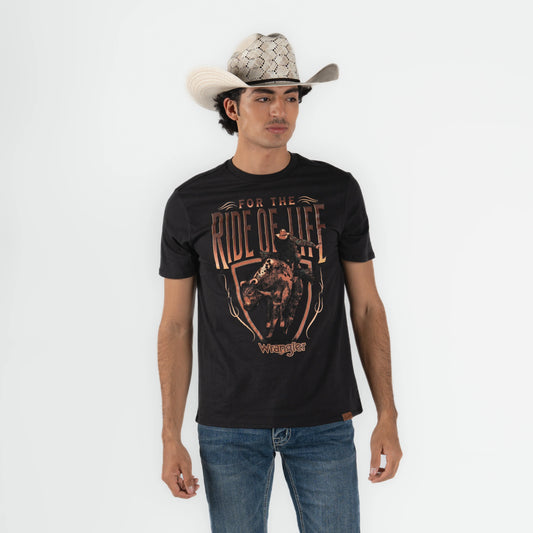 112367293|PLAYERA CABALLERO