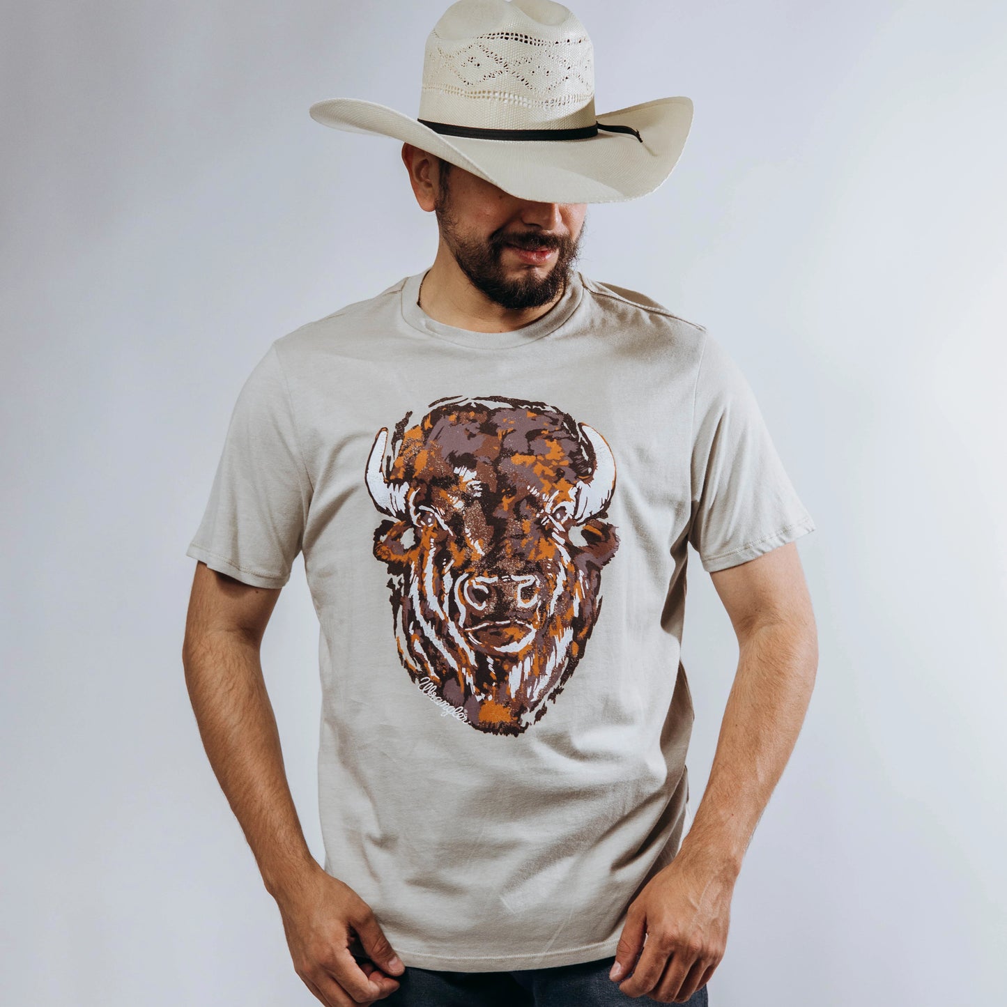 112365331|PLAYERA CABALLERO