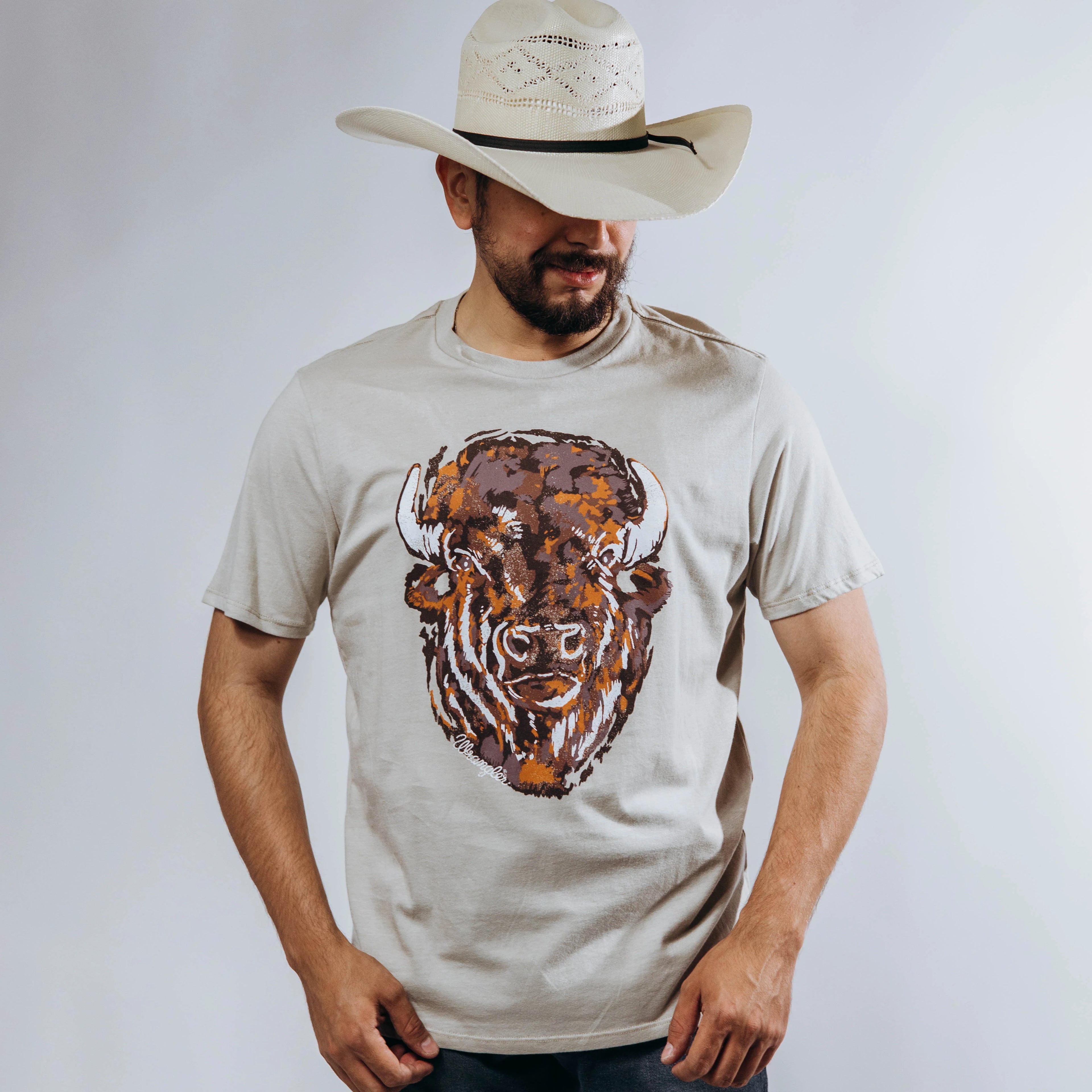 112365331|PLAYERA CABALLERO