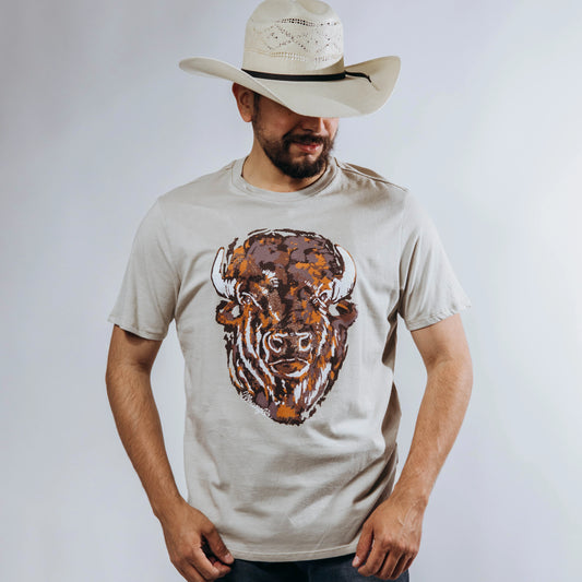 112365331|PLAYERA CABALLERO